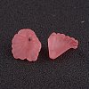 Transparent Acrylic Beads PL622-C10-2