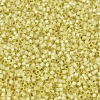 MIYUKI Delica Beads SEED-X0054-DB0623-3