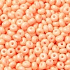 Baking Paint Glass Seed Beads X1-SEED-B001-02A-16-3