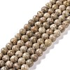 Natural Maifanite/Maifan Stone Beads Strands G-I187-8mm-01-1