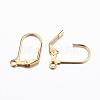 304 Stainless Steel Earrings STAS-P166-11G-2