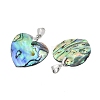 Natural Abalone Shell/Paua Shell Pendants SSHEL-M024-01-3