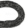 Natural Larvikite Beads Strands G-C280-B06-6mm-5