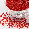 12/0 Glass Seed Beads SSDB25-1