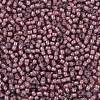 TOHO 11/0 Round Beads X-SEED-TR11-0305-2