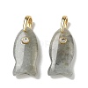 Natural Labradorite Pendants G-A297-01G-15-1