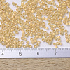 MIYUKI Delica Beads Small SEED-X0054-DBS0230-4