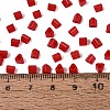 FGB Baking Paint Glass Seed Beads SEED-Q040-09A-05-4
