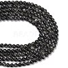 Natural Larvikite Beads Strands G-C280-B06-8mm-5