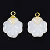Glass Charms GLAA-N036-02B-3