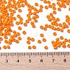 MIYUKI Round Rocailles Beads X-SEED-G008-RR0405-4