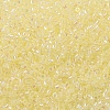 MIYUKI Delica Beads X-SEED-J020-DB0053-3
