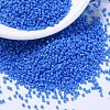 MIYUKI Delica Beads SEED-X0054-DB2134-1