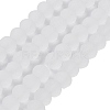 Transparent Glass Beads Strands EGLA-A044-T8mm-MD19-1