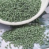 MIYUKI Delica Beads X-SEED-J020-DB2310-1