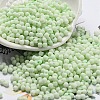 Macaron Color Opaque Frosted Glass Seed Beads SEED-K009-12B-06-1