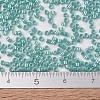 MIYUKI Delica Beads SEED-JP0008-DB1567-4