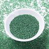 MIYUKI Delica Beads SEED-X0054-DB1889-2