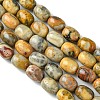 Barrel Shaped Gemstone Natural Crazy Lace Agate Beads Strands G-S114-08-3