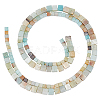 2 Strands 2 Styles Natural Flower Amazonite Beads Strands G-PH0002-53-7