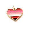 Pride 304 Stainless Steel Enamel Pendants LS-STAS-B079-01G-16-1