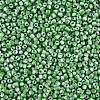 8/0 Glass Seed Beads SEED-S006-34-3