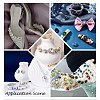Sew on Rhinestone GLAA-N048-001B-12-4