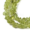 Natural Peridot Beads Strands G-P332-48-01-2