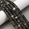 Natural Biotite Beads Strands G-L624-I12-3x6mm-1