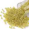 TOHO 8/0 Round Beads SEED-JPTR08-2151S-1