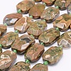 Natural Rhyolite Jasper Beads Strands G-J373-24I-1