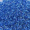 MIYUKI Delica Beads Small X-SEED-J020-DBS0177-3