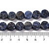 Natural Sodalite Beads Strands G-C159-B10-01-4