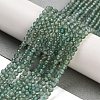 Natural Green Apatite Beads Strands G-G105-A01-02-2