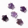 Natural Amethyst Charms X-G-H241-04D-1