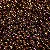 TOHO 8/0 Round Beads X-SEED-TR08-0514-2