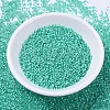 MIYUKI Delica Beads SEED-X0054-DB0627-2
