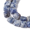 Natural Blue Spot Jasper Beads Strands G-K359-B19-01-4