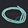 Faceted Rondelle Natural Amazonite Bead Strands G-F289-06-3