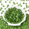 Picasso Transparent Glass Beads SEED-Q039-02P-2