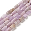 Natural Kunzite Beads Strands G-N327-06-36-1
