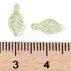 Transparent Acrylic Charms TACR-F009-11B-3