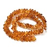Natural Amber Beads Strands G-K376-C03-01-3