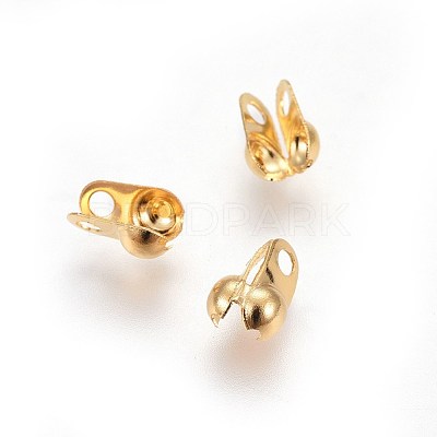 304 Stainless Steel Bead Tips STAS-I100-45G-1