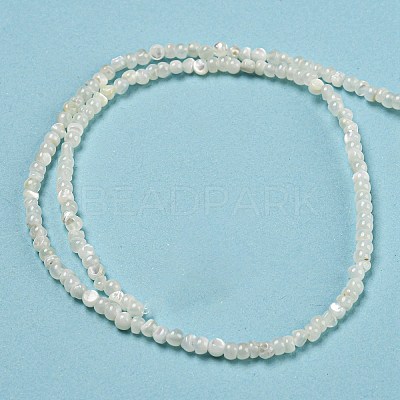 Natural White Shell Dyed Beads Strands BSHE-Z005-03G-1