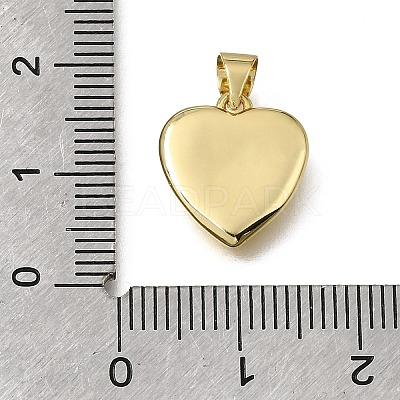 Brass Charms KK-K427-34G-1
