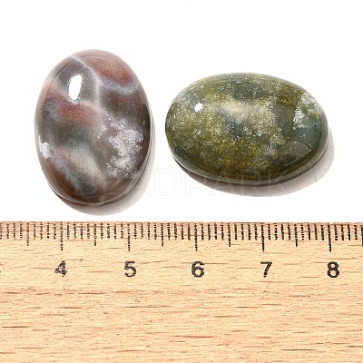 Natural Indian Agate Gemstone Cabochons G-T020-18x25mm-27-1