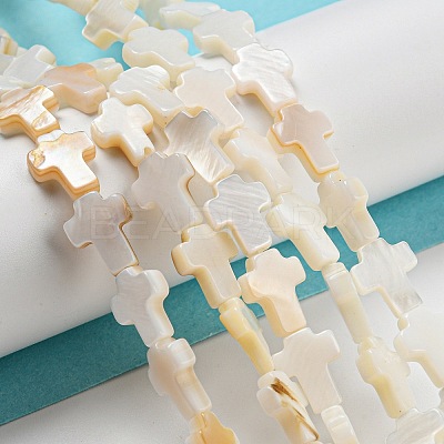 Natural Freshwater Shell Beads Strands BSHE-G034-26-1