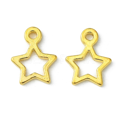 Tibetan Style Alloy Charms K0NYK011-1