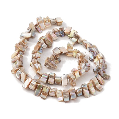 Natural Freshwater Shell Beads Strands BSHE-H018-07A-1